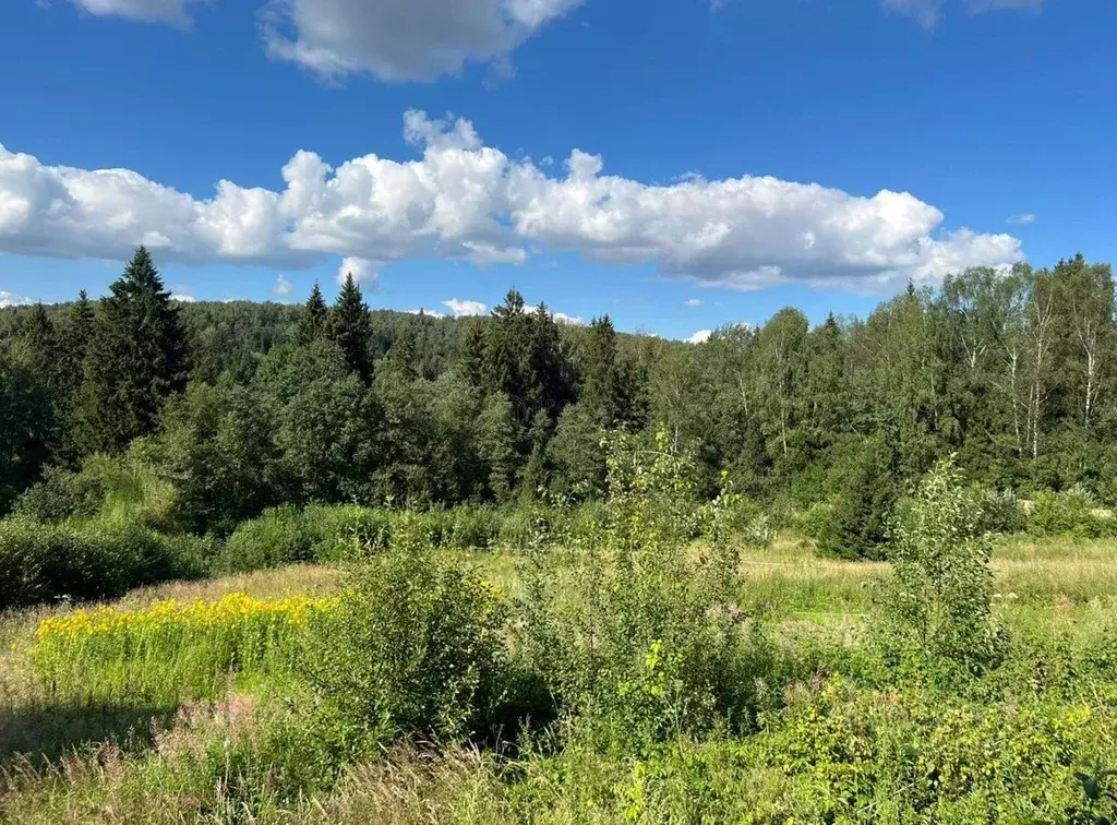 Участок в Московская область, Дмитровский муниципальный округ, ... - Фото 2