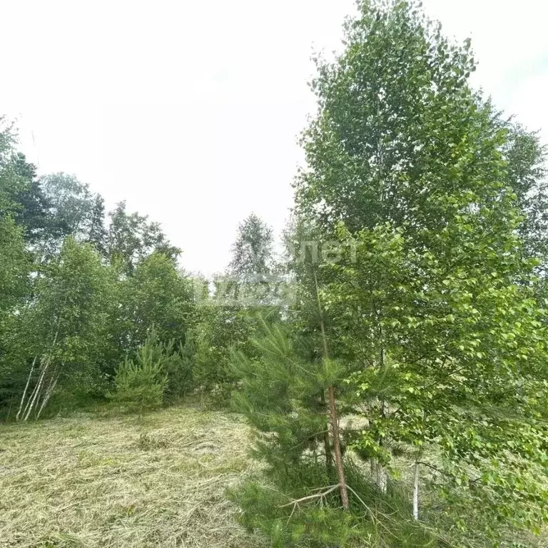 Участок в Московская область, Воскресенск городской округ, Хорлово пгт ... - Фото 2
