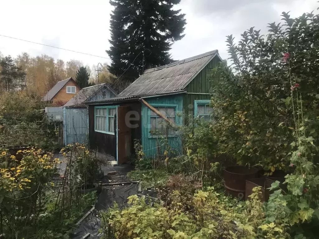 Участок в Тюменская область, Тюменский муниципальный округ, Дружба СНТ ... - Фото 2