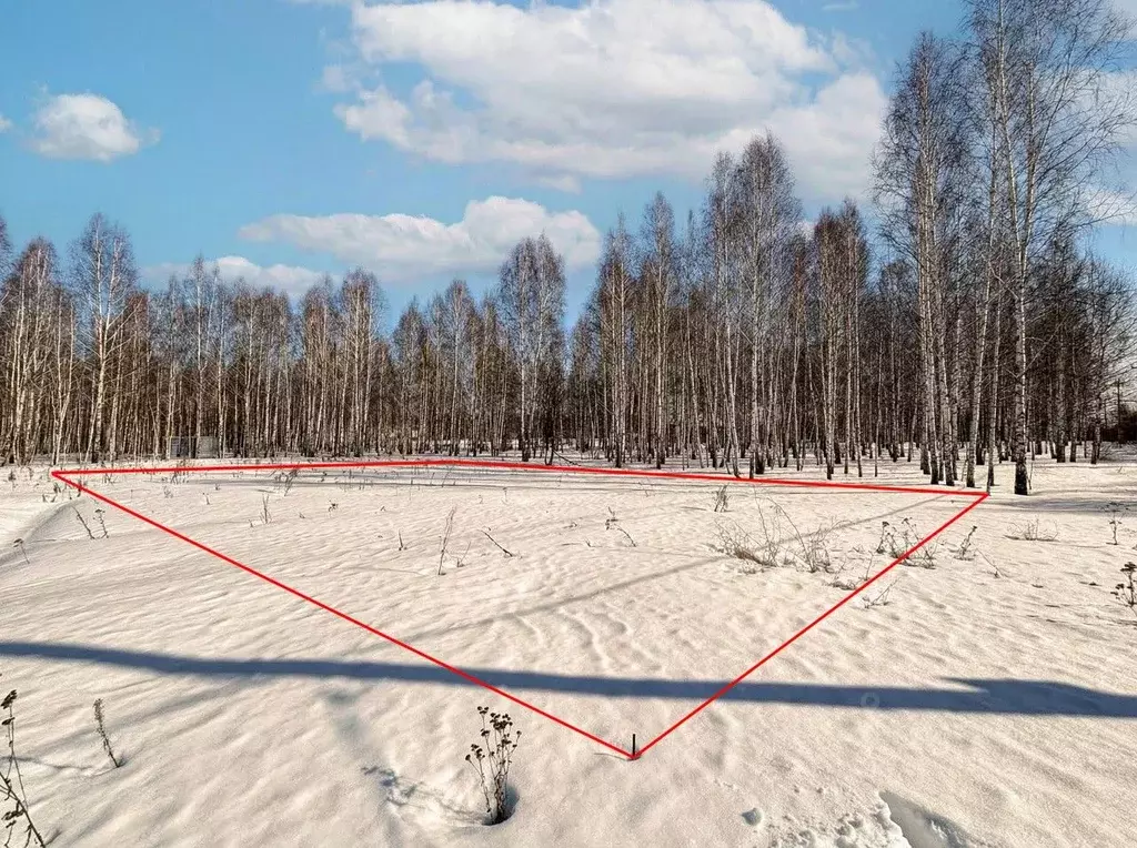 Участок в Челябинская область, Сосновский муниципальный округ, Городок ... - Фото 2