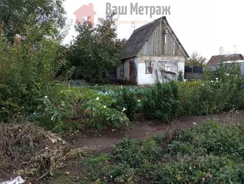 Дом в Оренбургская область, Бузулук Дружба СНТ,  (25 м) - Фото 1