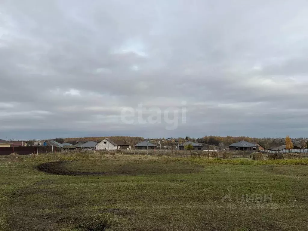 Участок в Брянская область, Брянский район, Снежское с/пос, с. ... - Фото 2