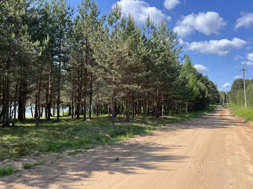 Участок в Псковская область, Куньинский район, Жижицкая волость, д. ... - Фото 1