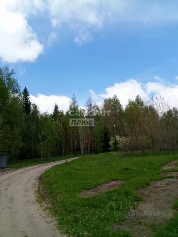 Дом в Тюменская область, Нижнетавдинский район, пос. Лесозаводский  ... - Фото 0