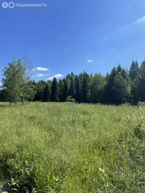 Участок в Раменский городской округ, деревня Кузяево (6 м) - Фото 0