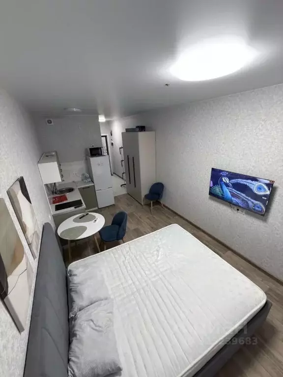 Студия Московская область, Одинцовский городской округ, Новоивановское ... - Фото 2