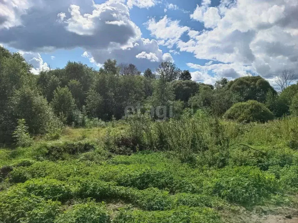 участок в смоленская область, смоленский муниципальный округ, . - Фото 0