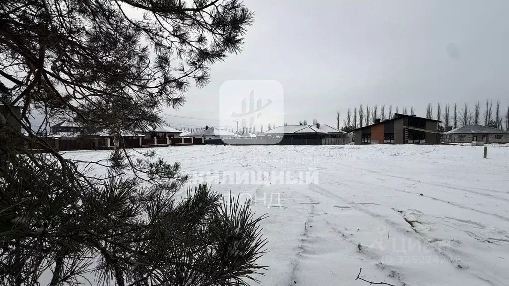 Участок в Саратовская область, Энгельсский район, Красноярское ... - Фото 1