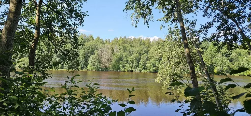 Участок в Ленинградская область, Волховский район, Бережковское с/пос, ... - Фото 1