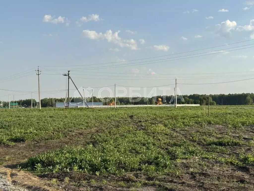 Участок в Свердловская область, Тугулымский муниципальный округ, с. ... - Фото 1