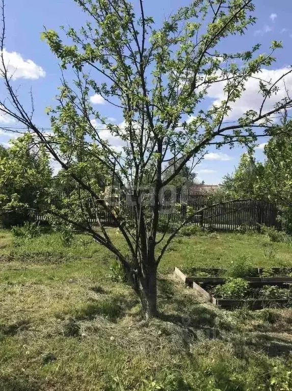 Дом в Тюменская область, Тюмень Электрон СНТ, ул. Серебряная (40 м) - Фото 1