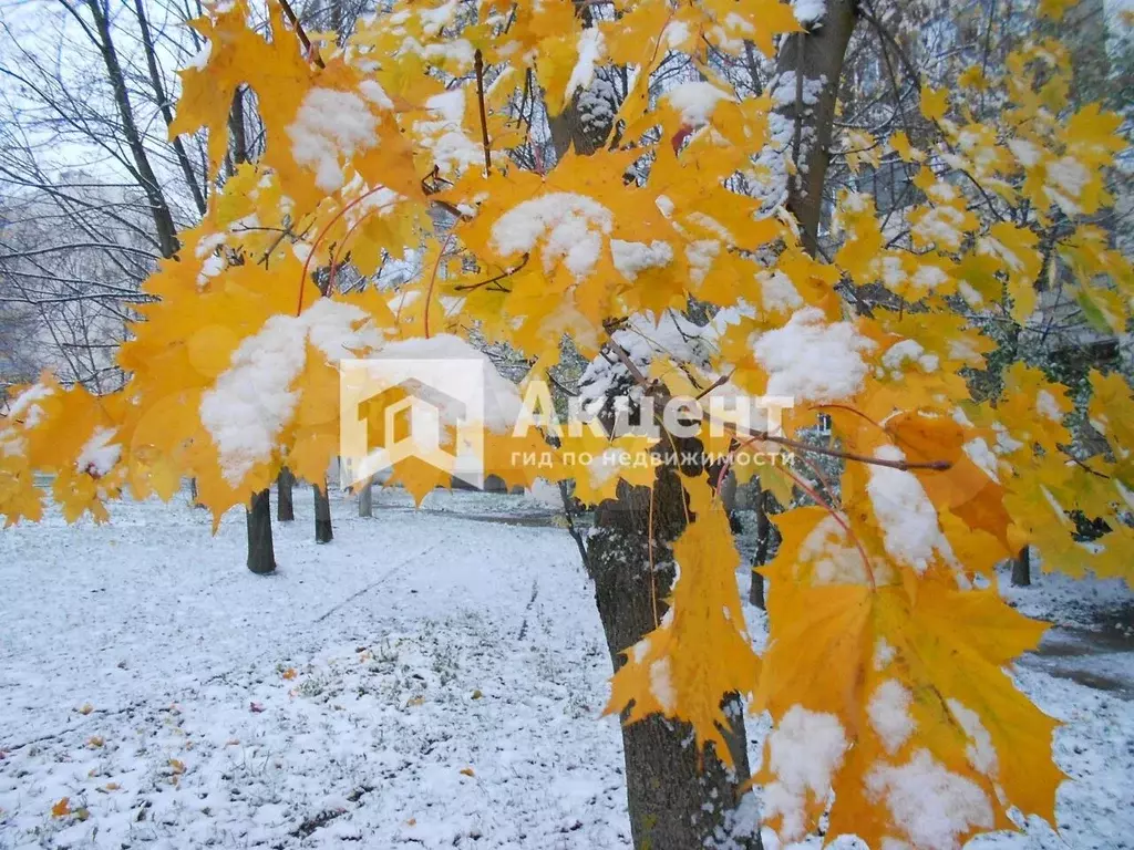 2-к. квартира, 60,7 м, 9/10 эт. - Фото 1