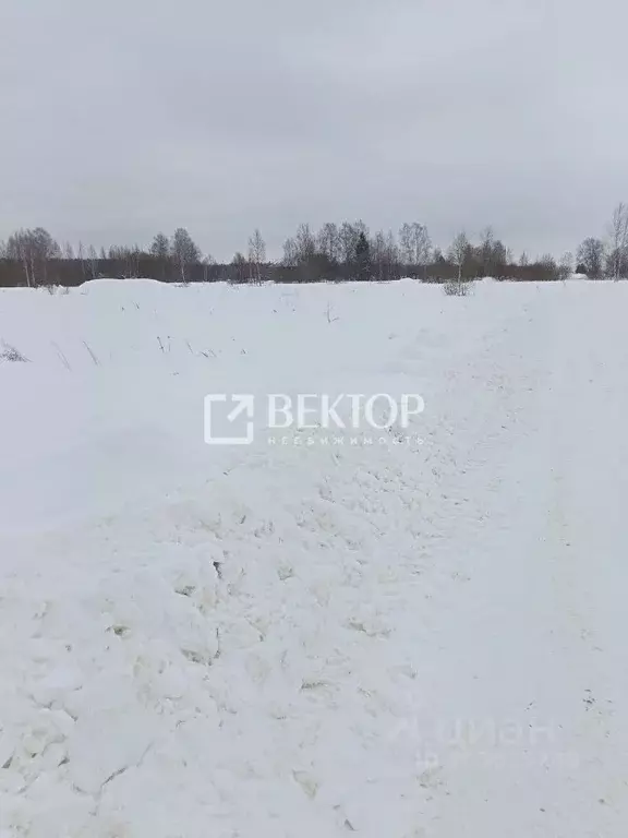 Участок в Ярославская область, Борисоглебский район, Инальцинское ... - Фото 0