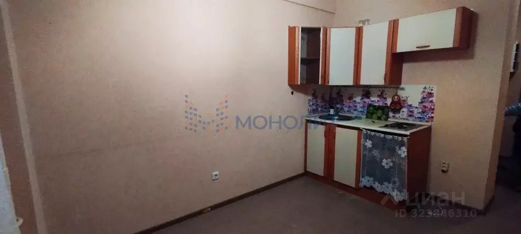 Студия Нижегородская область, Нижний Новгород бул. Южный, 14 (17.6 м) - Фото 2