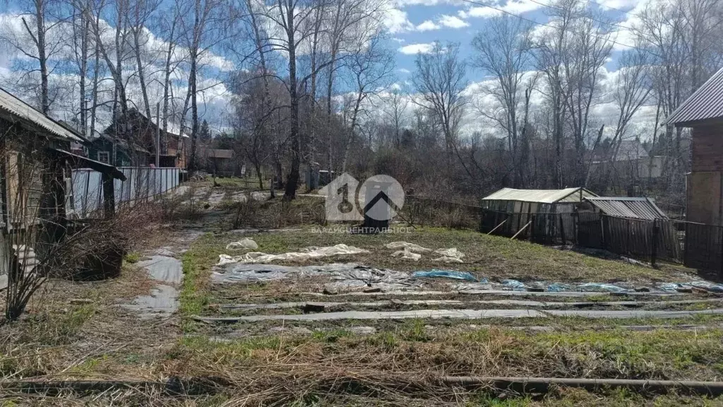 Участок в Новосибирская область, Новосибирск Березовая Роща СТ, 173 ... - Фото 1