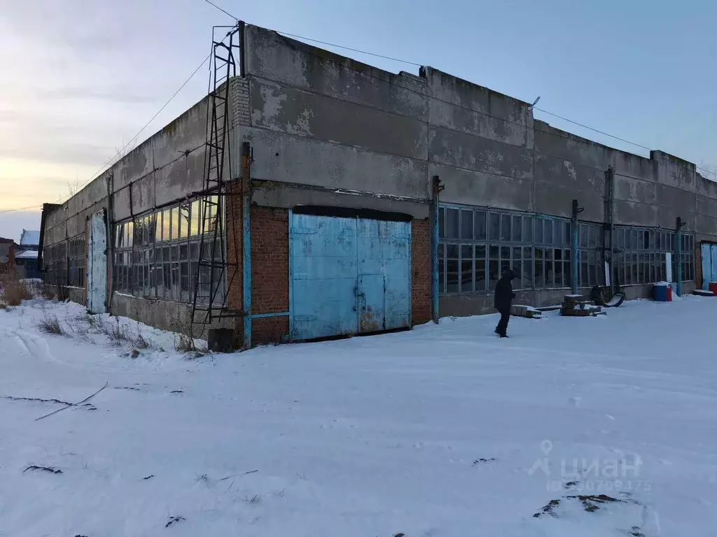 Помещение свободного назначения в Омская область, Омск ул. 10 лет ... - Фото 1