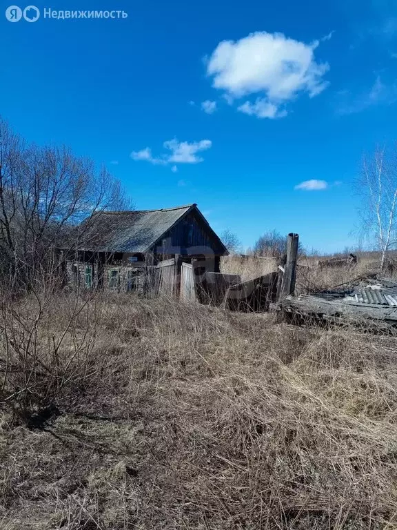 Участок в Тюменская область, Ишимский муниципальный округ, деревня ... - Фото 1