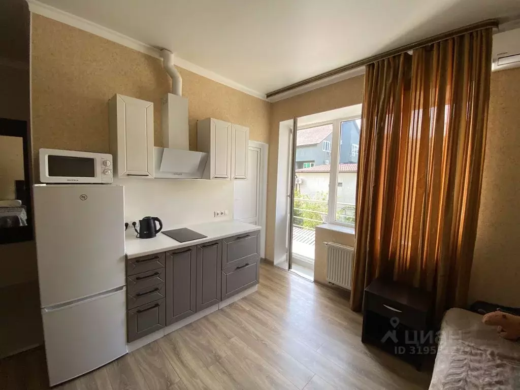 Студия Краснодарский край, Сочи ул. Просвещения, 85Б (20.0 м) - Фото 1