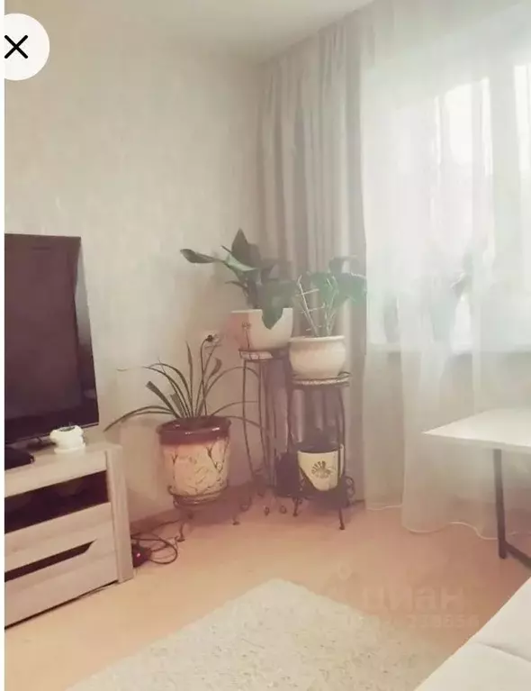 1-к кв. Коми, Сыктывкар ул. Карла Маркса, 168 (30.6 м) - Фото 1