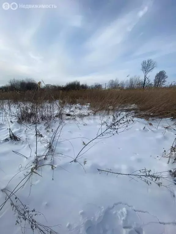 Участок в Хабаровск, Фермерская улица (7.8 м) - Фото 0