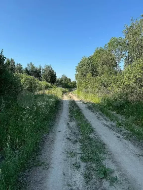 Участок 14 сот. (личное подсобное хозяйство (лпх)) - Фото 1