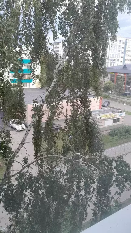 2-к кв. Татарстан, Альметьевск ул. Чапаева, 4 (48.0 м) - Фото 1