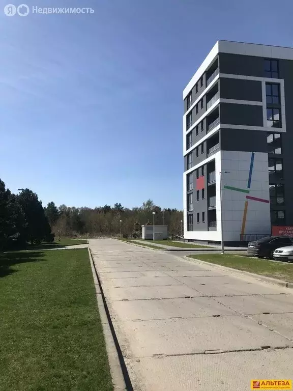 Офис (41.3 м) - Фото 2