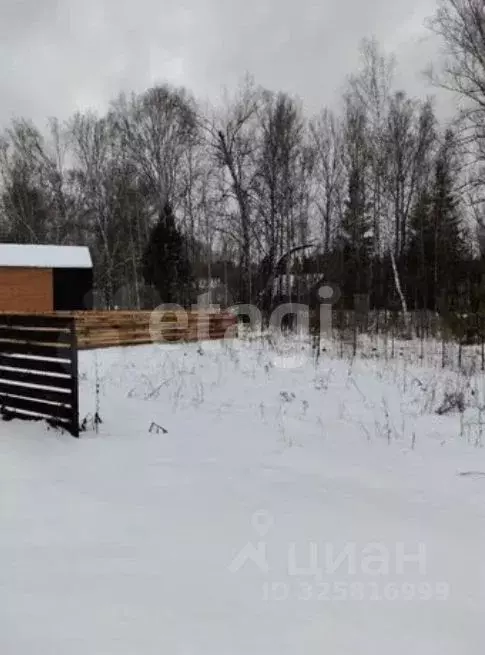 Участок в Новосибирская область, Новосибирский район, Кубовинский ... - Фото 2