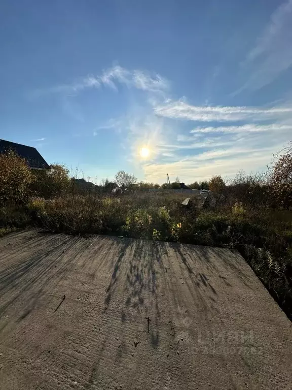 Участок в Новгородская область, Новгородский район, Трубичинское ... - Фото 1