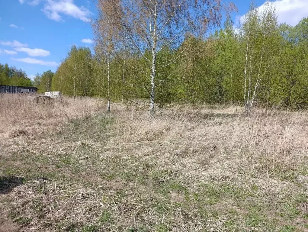 Участок в Владимирская область, Суздальский район, Новоалександровское ... - Фото 2