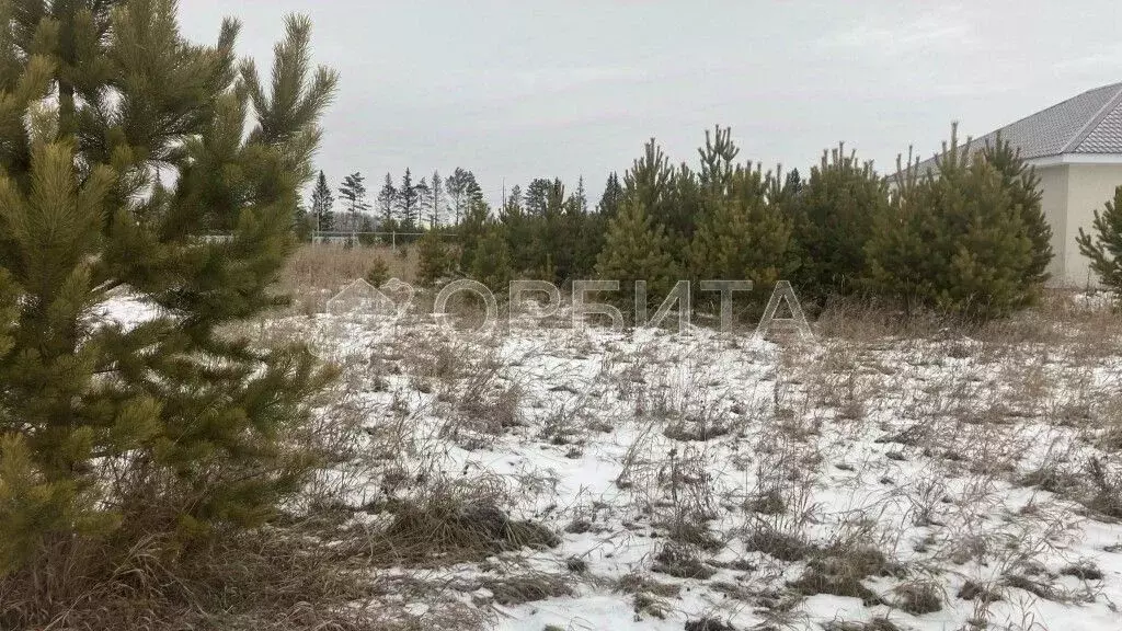 Участок в Тюменская область, Нижнетавдинский район, Царицыно СНТ  ... - Фото 1