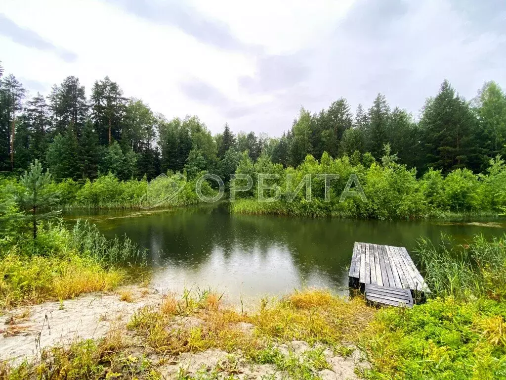 Участок в Нижнетавдинский район, СНТ Аракчино (33 м) - Фото 1