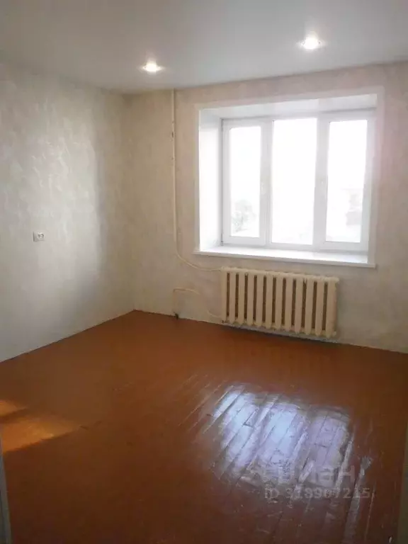 Комната Курганская область, Курган ул. Дзержинского, 31Б (18.0 м) - Фото 0