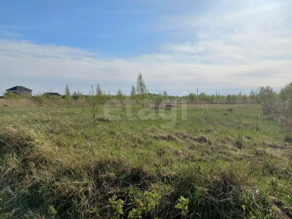 Участок в Смоленская область, Смоленский муниципальный округ, д. Лубня ... - Фото 1