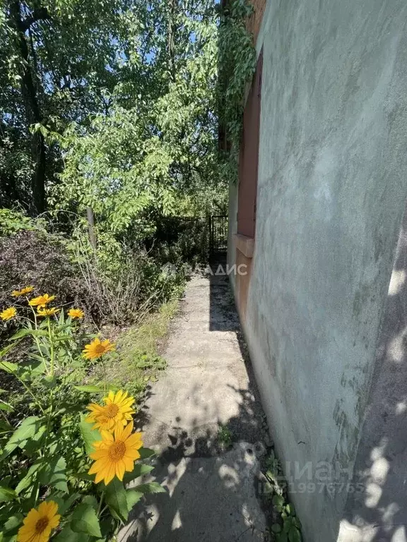 Дом в Воронежская область, Воронеж Садовод СНТ, ул. Ягодная, 5 (44 м) - Фото 2