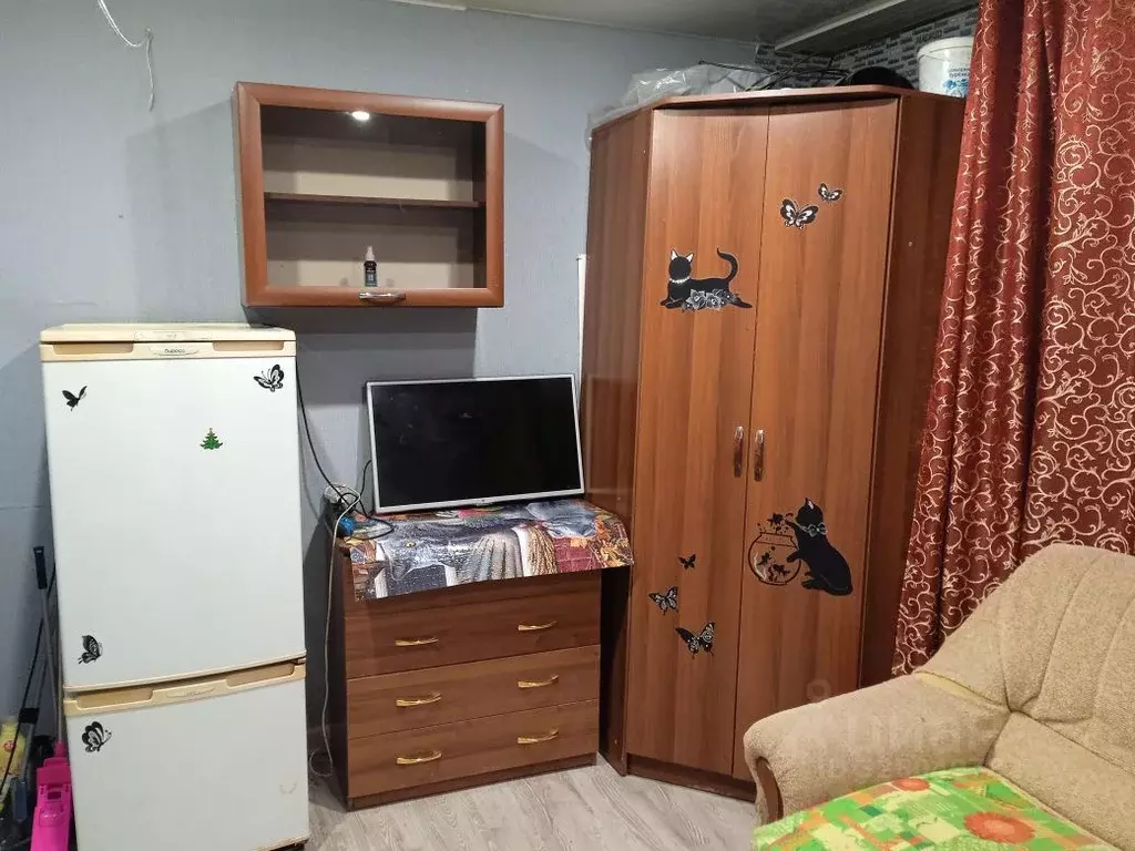 Студия Красноярский край, Красноярск ул. Шевченко, 70 (20.0 м) - Фото 2