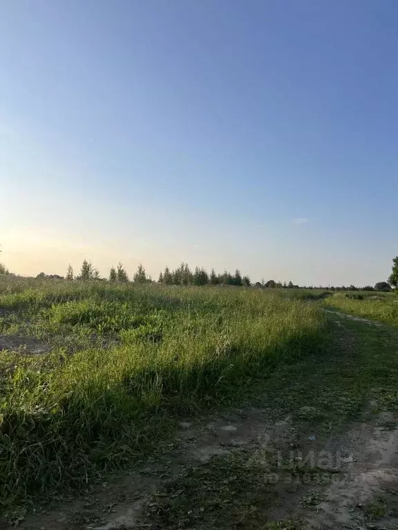 Участок в Ленинградская область, Всеволожский район, Колтушское ... - Фото 0