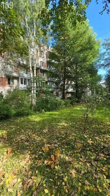 1-к кв. Санкт-Петербург, Санкт-Петербург, Пушкин Детскосельский бул., ... - Фото 2