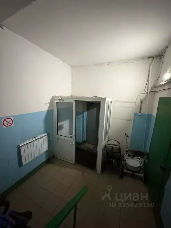 1-к кв. Нижегородская область, Бор Советская ул., 4 (34.5 м) - Фото 1