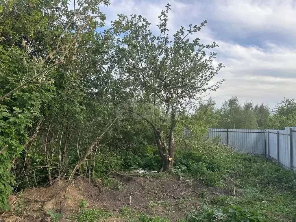 Участок в Тульская область, Узловский район, Шахтерское с/пос, с. ... - Фото 1