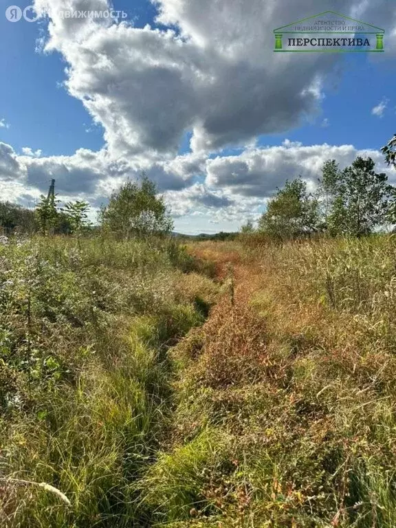 Участок в Артёмовский городской округ, село Ясное, улица Зорге-2 (12 ... - Фото 0