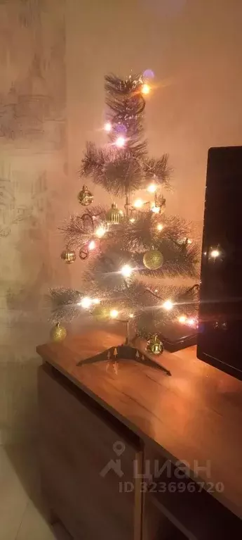 1-к кв. Ленинградская область, Сертолово Всеволожский район, ... - Фото 1