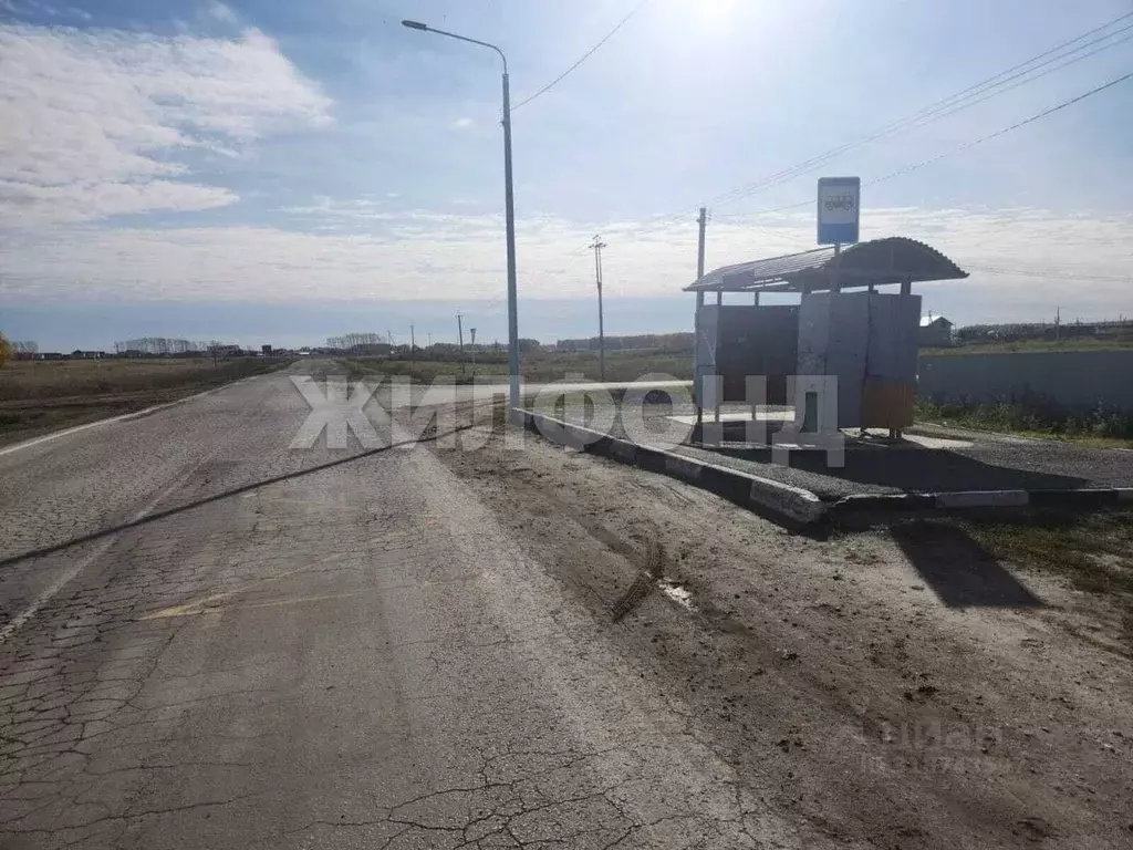 Участок в Новосибирская область, Новосибирский район, Толмачевский ... - Фото 0