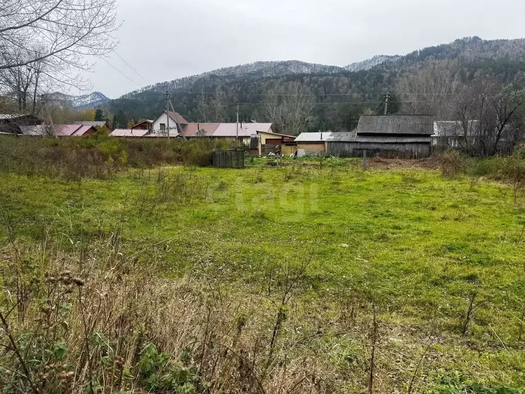 Участок в Алтай, Майминский район, с. Усть-Муны Березовая ул. (16.0 ... - Фото 1
