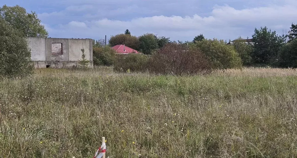 Участок в Псковская область, Палкино рп  (11.0 сот.) - Фото 1