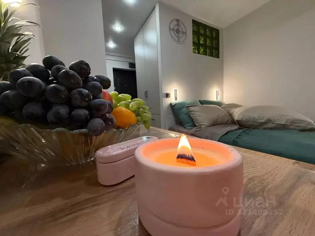 Студия Краснодарский край, Сочи ул. Тимирязева, 8 (15.0 м) - Фото 1