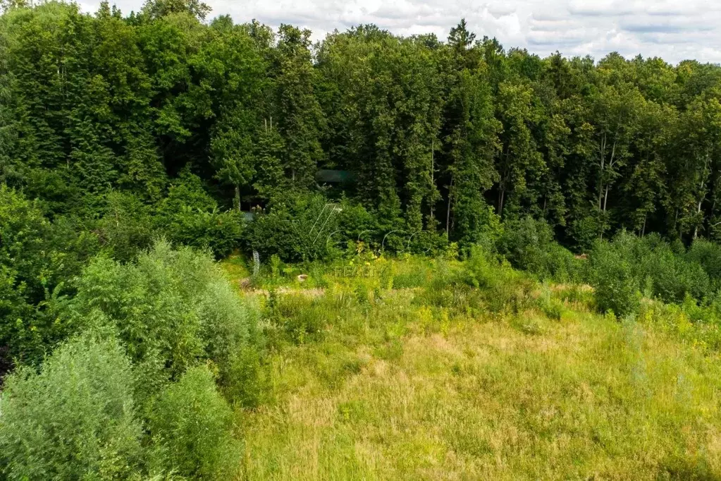 Участок в Московская область, Химки Лесное-Озерное ДСК,  (84.0 сот.) - Фото 2