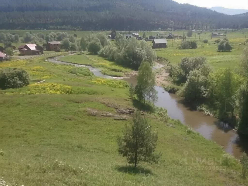 Участок в Алтайский край, Алтайский район, с. Нижнекаянча ул. ... - Фото 2