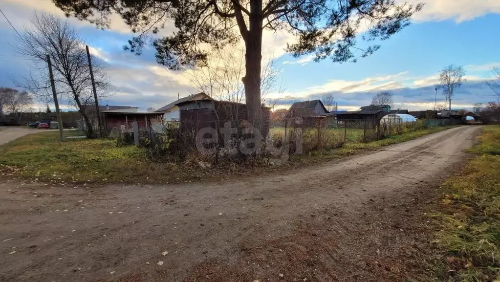 Участок в Архангельская область, Вычегодский рп ул. Лесная (5.4 сот.) - Фото 1