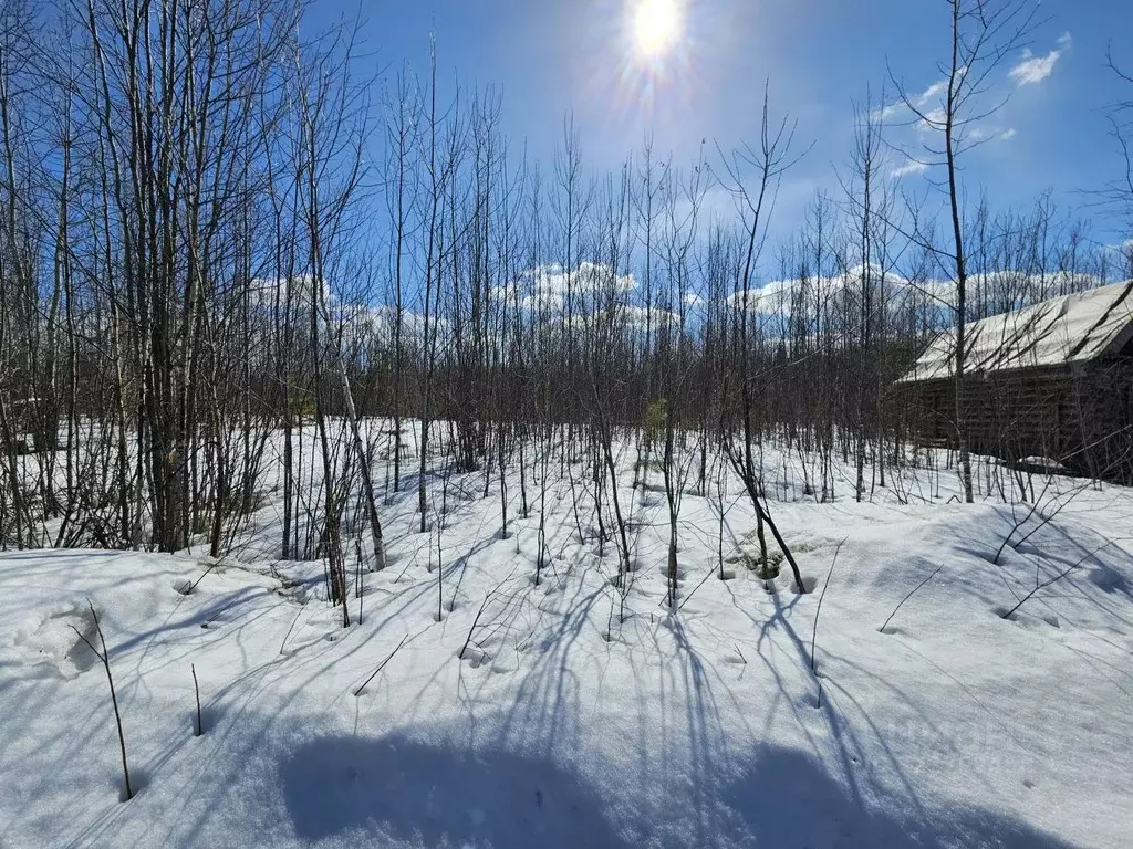 Участок в Ханты-Мансийский АО, Ханты-Мансийского муниципального района ... - Фото 2